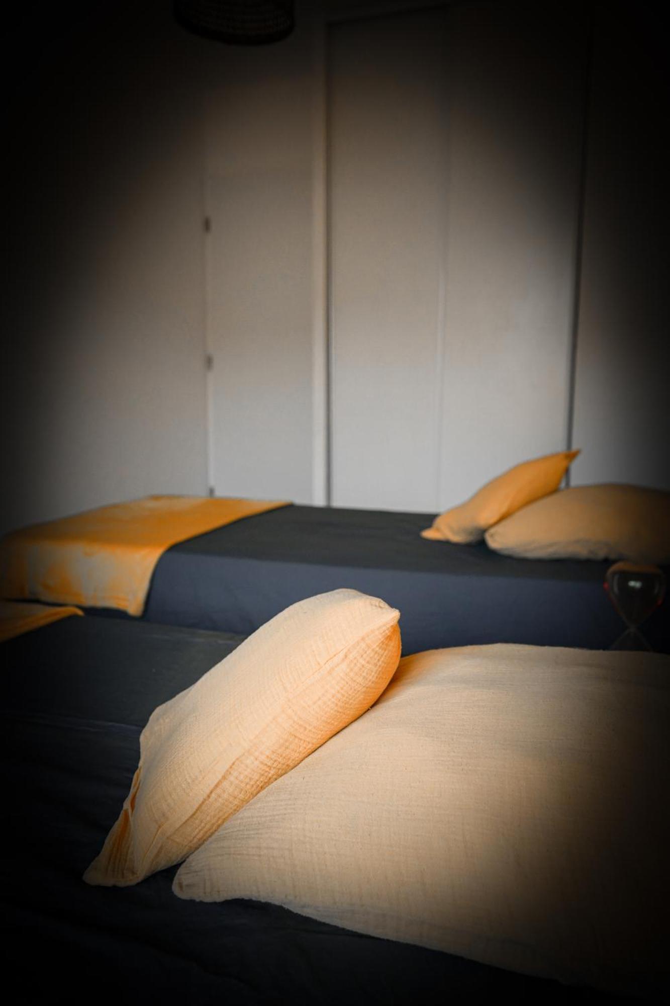 Bel Appartement Climatise & Parking Перпинян Екстериор снимка
